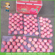 China Fruta Fresca Shandong Red Fuji Apple Mejor Precio